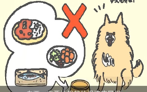 东西一定要放规整的强迫症属相