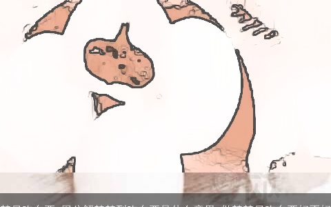 梦见吃东西_周公解梦梦到吃东西是什么意思_做梦梦见吃东西好不好