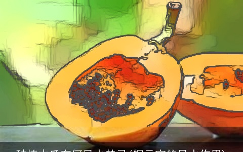 种植木瓜有何风水禁忌(铜元宝的风水作用)