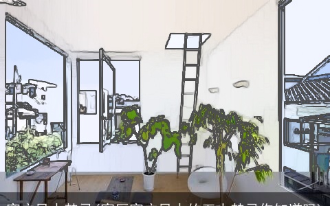 窗户风水禁忌(客厅窗户风水的五大禁忌你知道吗)