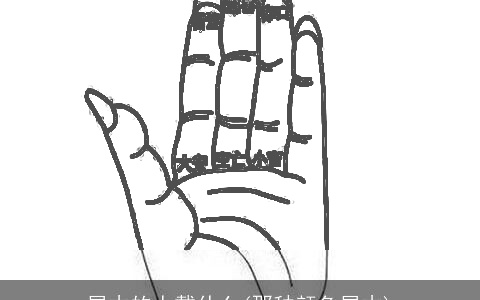 属木的人戴什么(那种颜色属木)