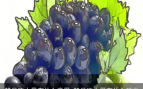 梦见吃水果有什么意思 梦见吃水果有什么预兆