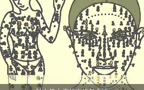 脸上佳人痣的方位与命运