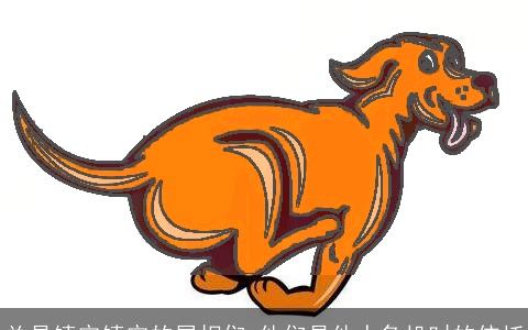 总是镇定镇定的属相们 他们是他人危机时的依托