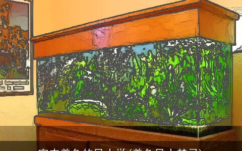 室内养鱼的风水学(养鱼风水禁忌)