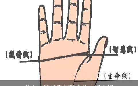 什么是断掌手相断掌的人好不好