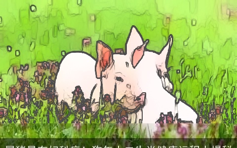 属猪易有妇科病！狗年十二生肖健康运程大揭秘