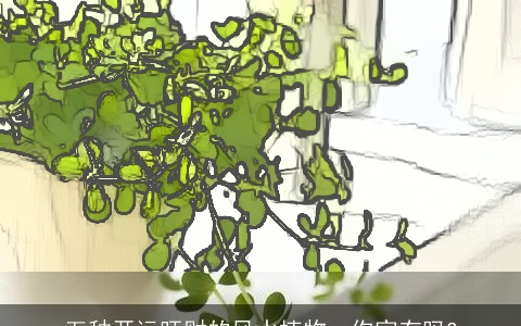 五种开运旺财的风水植物，你家有吗?