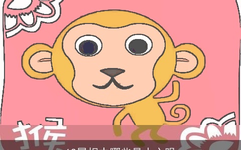 12属相中哪些最小心眼