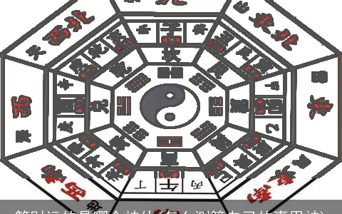 管财运的是哪个神仙(怎么测算自己的喜用神)