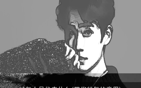 帅气十足代表什么(英俊帅气的意思)