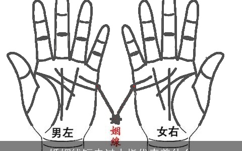 婚姻线短未过小指代表着什么