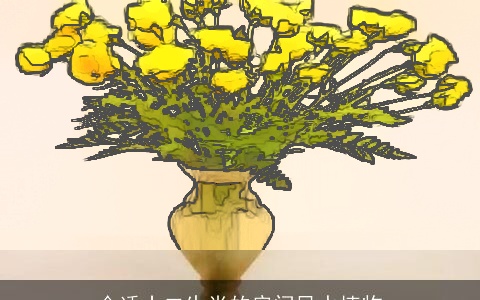 合适十二生肖的房间风水植物