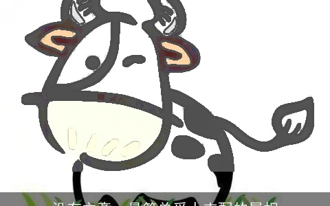 没有主意，最简单受人支配的属相