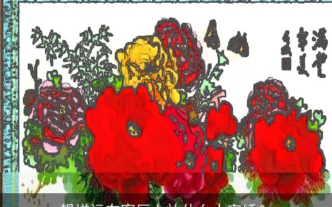 想增运在客厅上放什么十字绣？