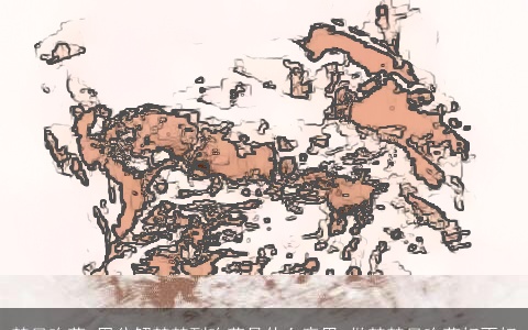 梦见吃荤_周公解梦梦到吃荤是什么意思_做梦梦见吃荤好不好