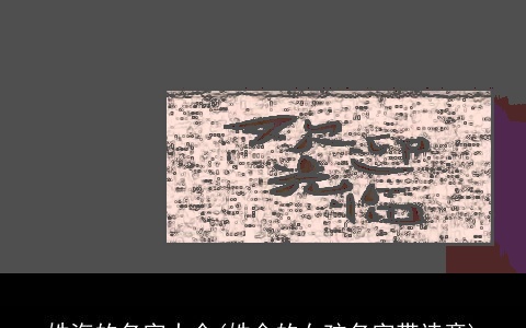 姓海的名字大全(姓金的女孩名字带诗意)