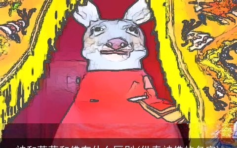 神和菩萨和佛有什么区别(供奉神佛的名字)