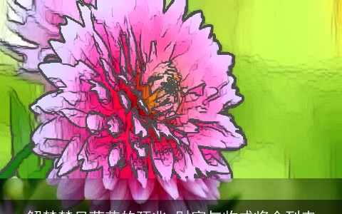 解梦梦见菊花的预兆 财富与收成将会到来