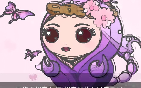 属狗天蝎座女(天蝎座和什么星座最配)