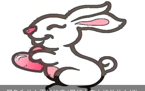 属兔为什么不能挂鹿(属蛇人车上挂件什么好)