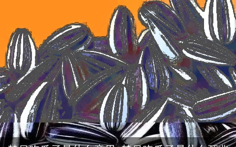 梦见吃瓜子是什么意思 梦见吃瓜子是什么预兆