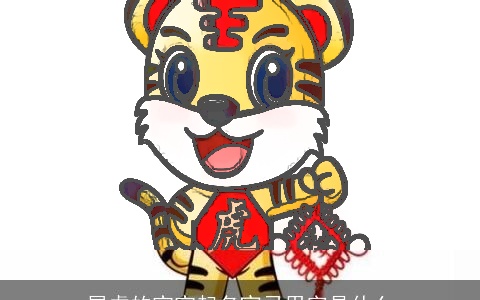 属虎的宝宝起名宜忌用字是什么