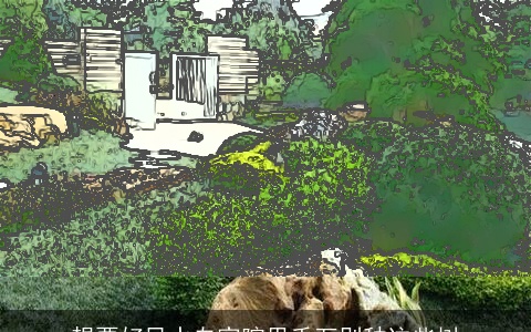 想要好风水自家院里千万别种这些树