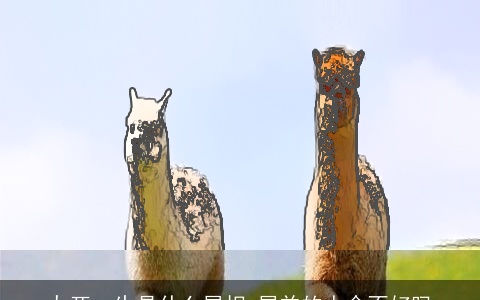 九死一生是什么属相 属羊的人命不好吗