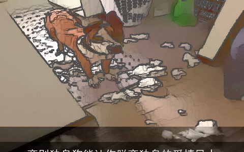 离别独身狗能让你脱离独身的爱情风水