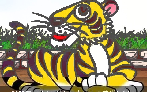 2022年属什么属相 属虎的人运势详尽解析