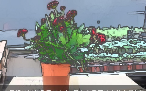 家里插的鲜花几天换水(水里养花里面放点什么最好)