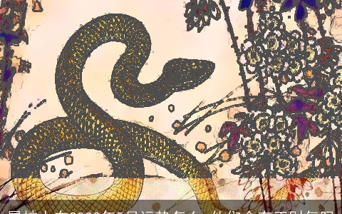 属蛇人在2022年5月运势怎么 他们会有正财气吗