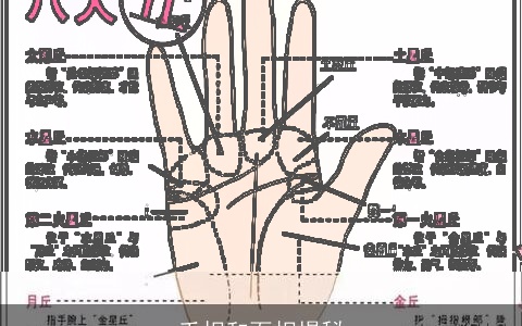 手相和面相揭秘