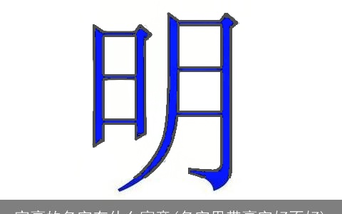 家豪的名字有什么寓意(名字里带豪字好不好)