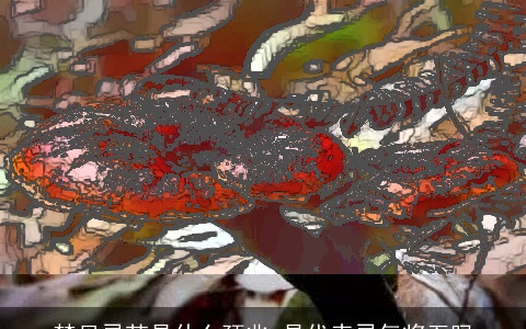 梦见灵芝是什么预兆 是代表灵气将至吗