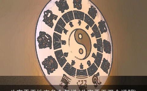 八字天干地支多合怎样(八字天干双合详解)