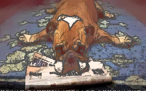 梦见吃冰棍_周公解梦梦到吃冰棍是什么意思_做梦梦见吃冰棍好不好