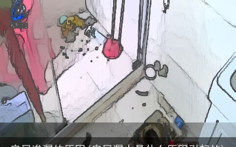 房屋渗漏的原因(房屋漏水是什么原因引起的)