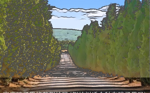 家庭院子里能栽侧柏吗(侧柏树适合种在院子里吗)