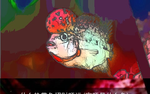 什么热带鱼招财旺运(家旺是什么鱼)