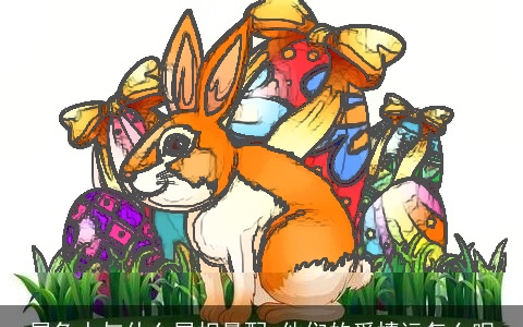 属兔人与什么属相最配 他们的爱情运怎么呢