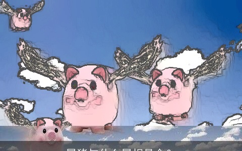 属猪与什么属相最合？