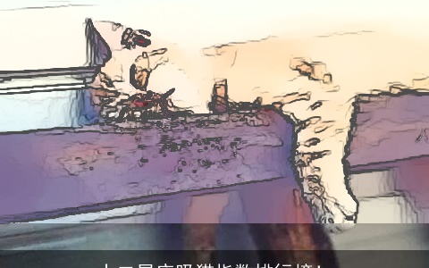 十二星座吸猫指数排行榜！