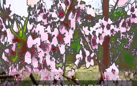 桃花运最旺盛的三大属相女