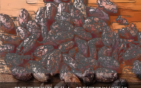 梦见可可树预示什么 梦到可可树好不好