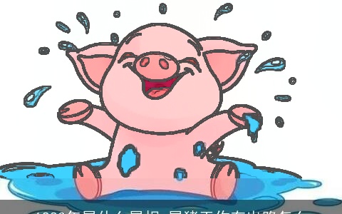 1983年属什么属相 属猪工作有出路怎么