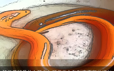 梦见黄鳝是什么预兆？预示收入和财富不断的增加