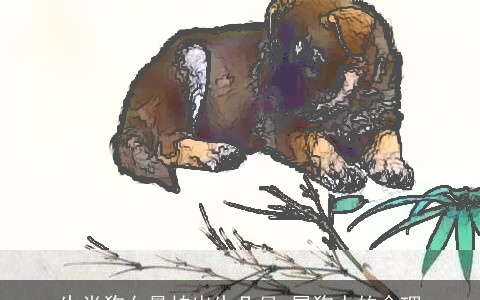 生肖狗女最怕出生几月 属狗人的命理