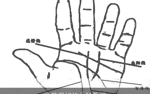 运势很好的九种骨相